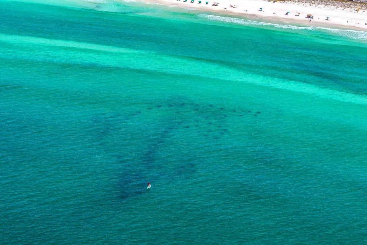 Beach Haven- Beach Pointe 703 Destin Buitenkant foto